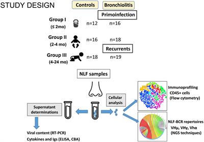 Age-dependent nasal immune responses in non-hospitalized bronchiolitis children